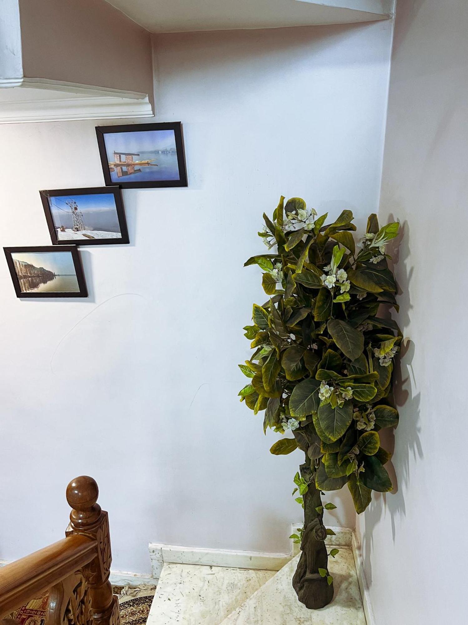 Homestay Rocridge *