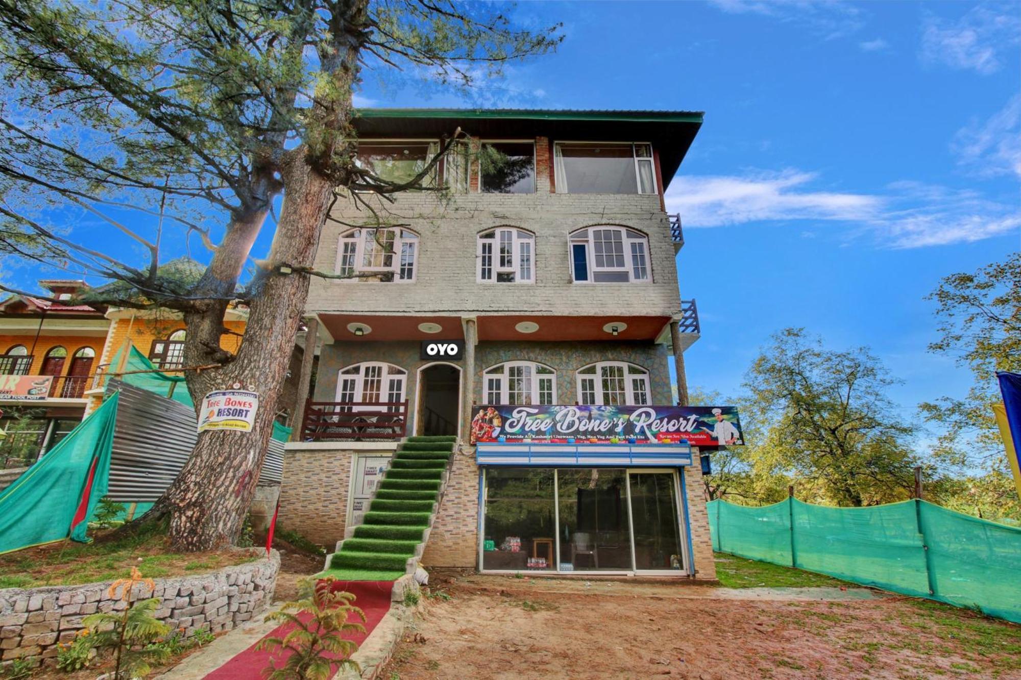 O Tree Boneae Hotel Srinagar (Jammu and Kashmir)