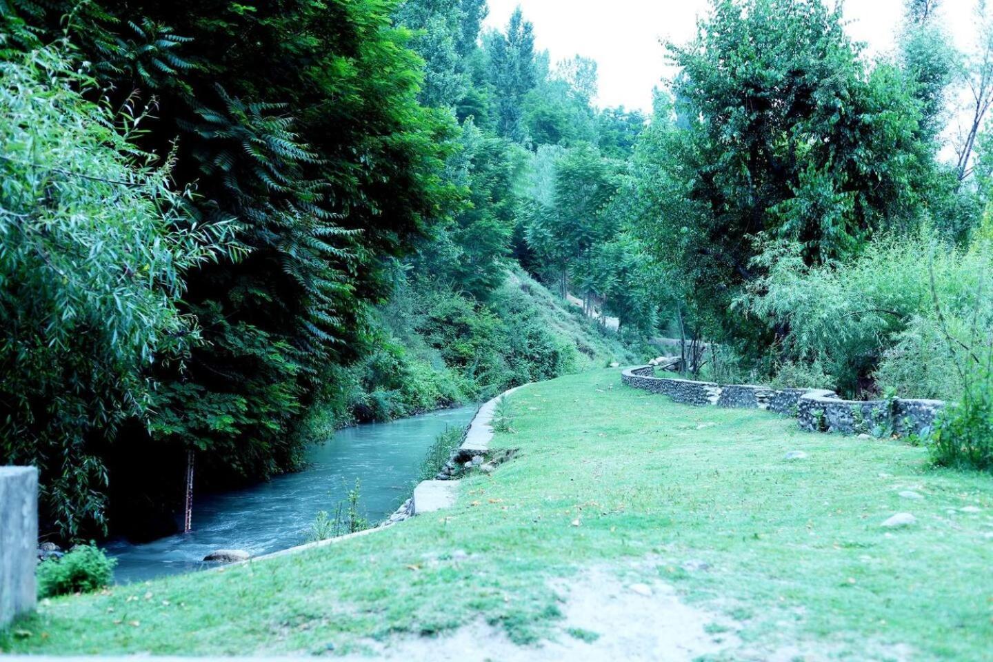 Snow White Srinagar (Jammu and Kashmir)