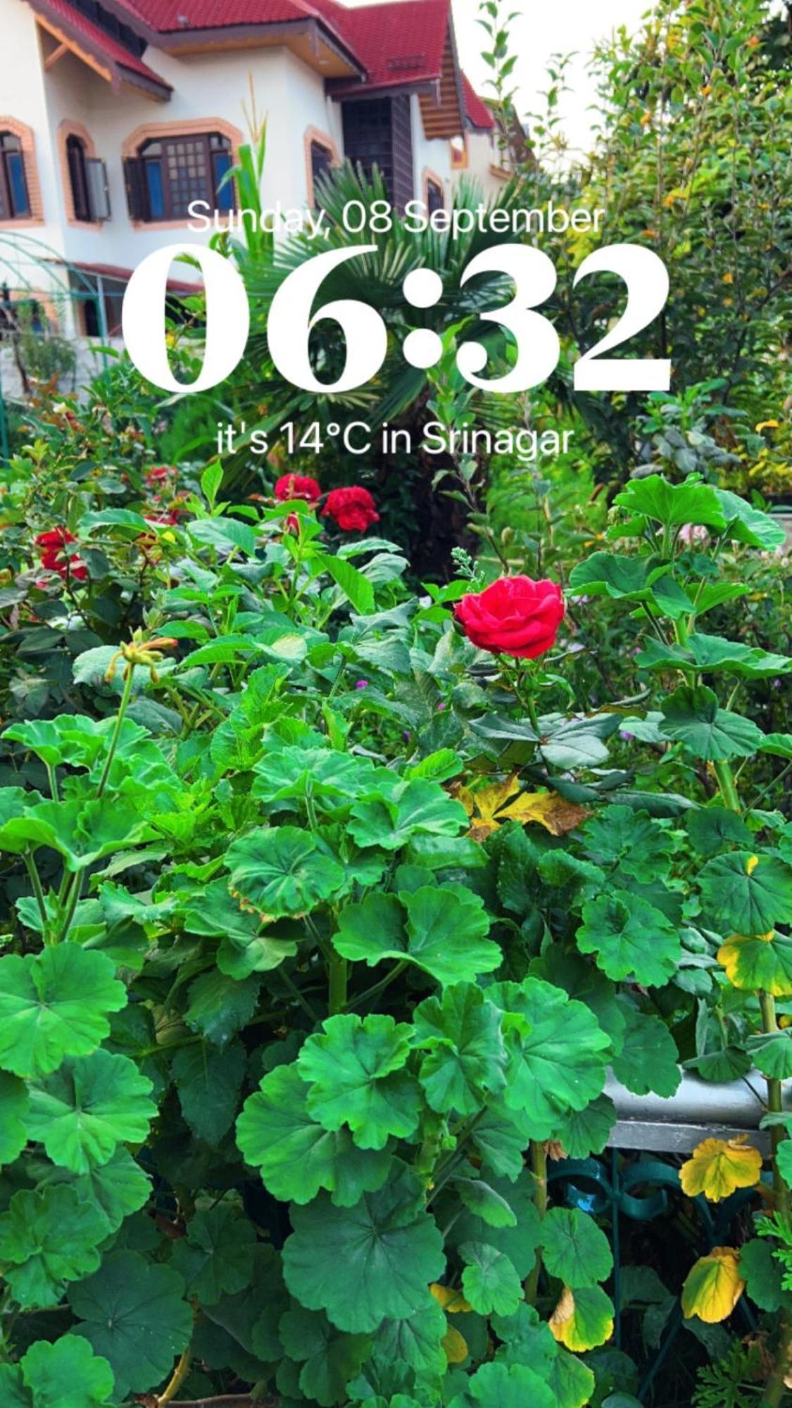 The Local * Srinagar (Jammu and Kashmir)