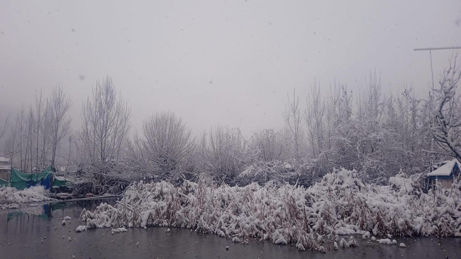 Island And Homestay Srinagar (Jammu and Kashmir)