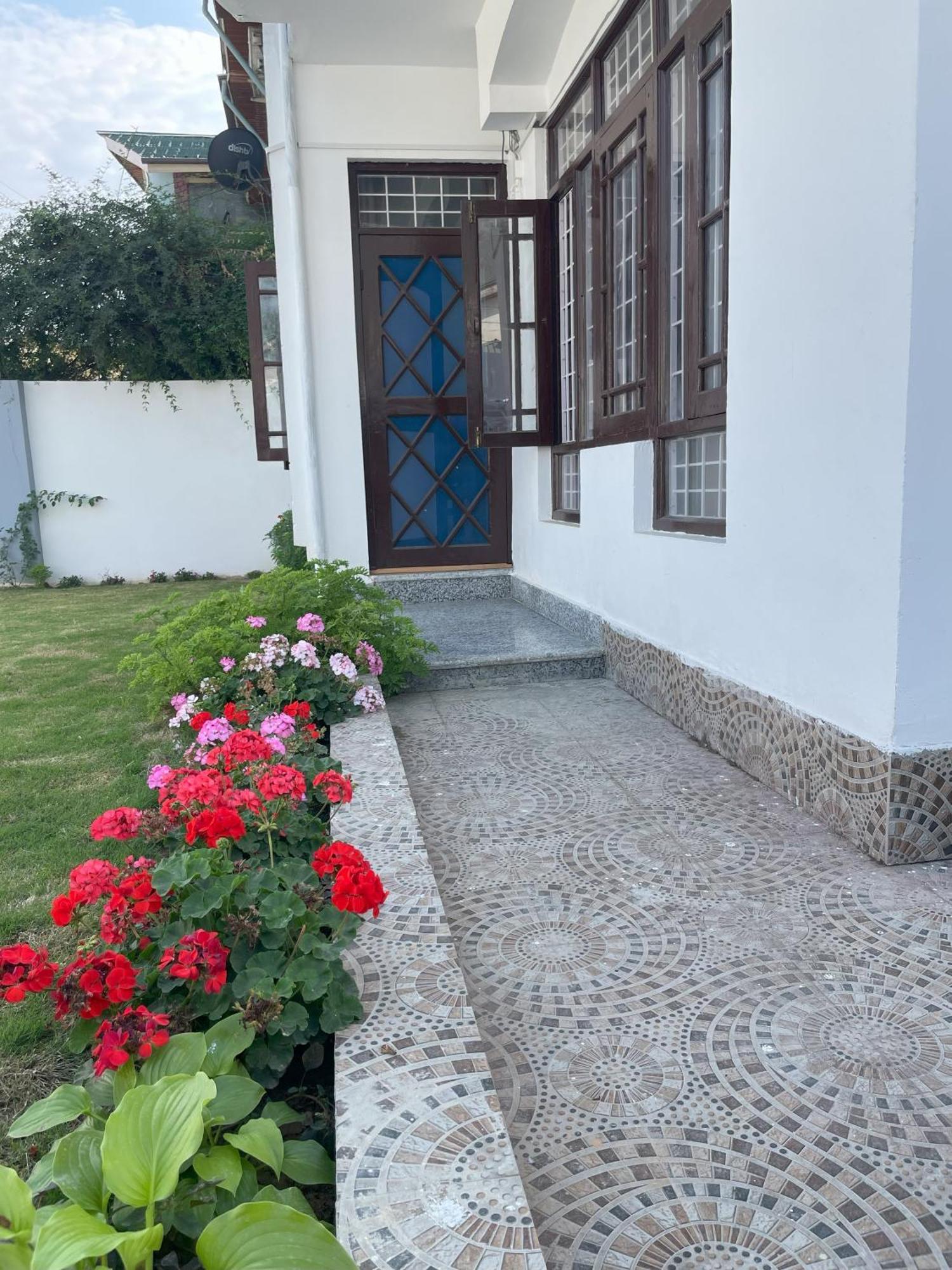 Zinnia East Srinagar (Jammu and Kashmir)
