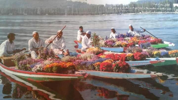 New Dunhill Houseboat