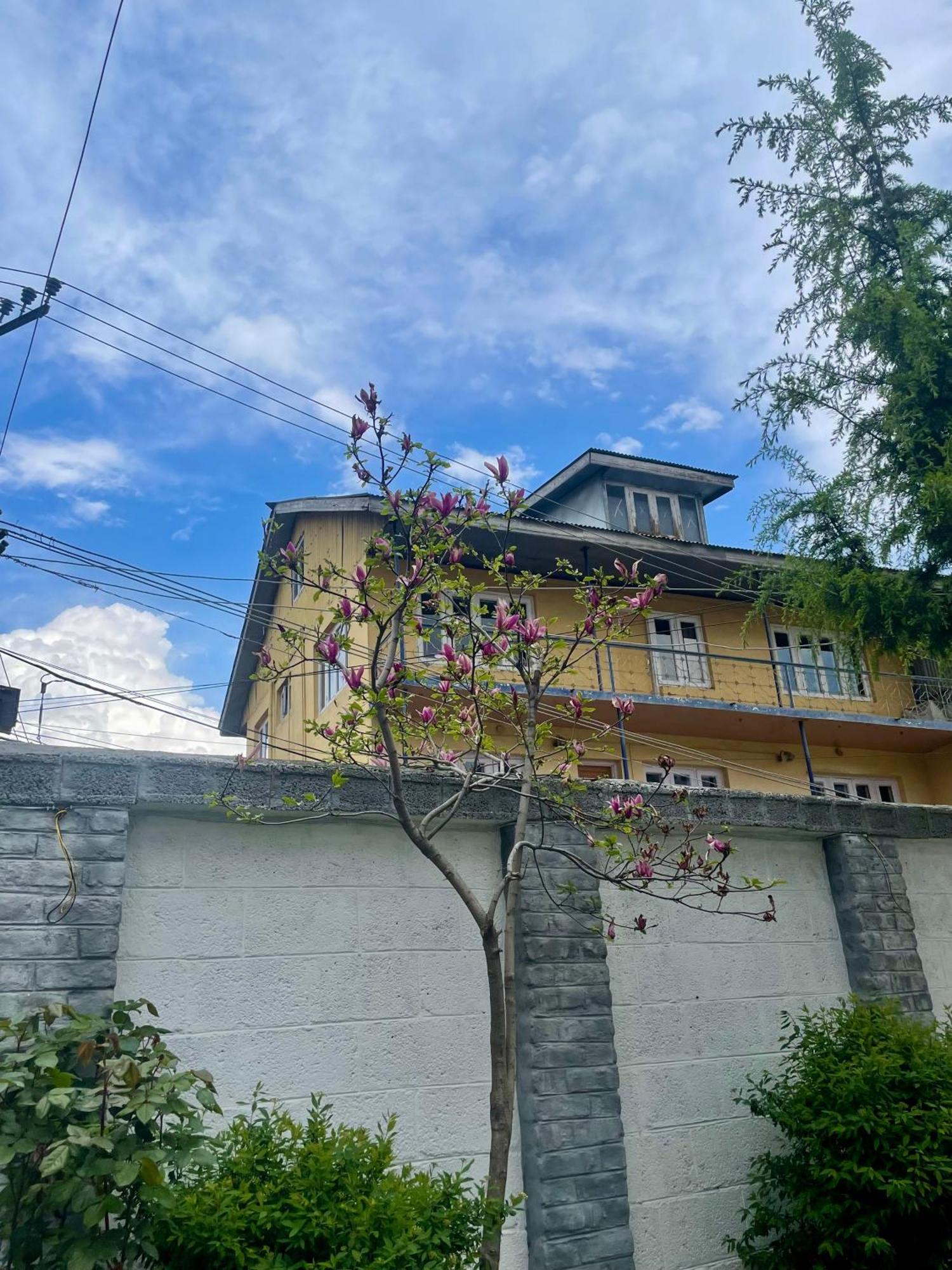 Hotel Arbor
