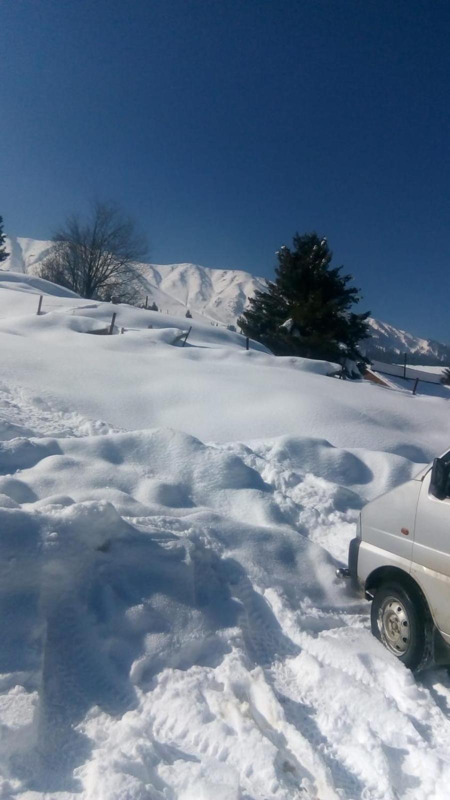 Grand Inayat * Srinagar (Jammu and Kashmir)