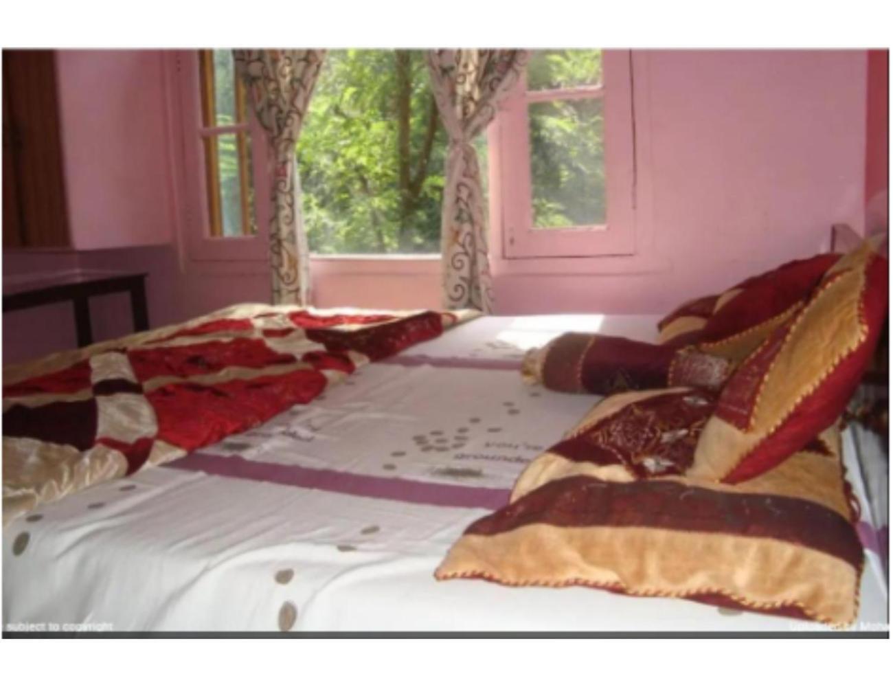 Hill Nearby Dal Hotel