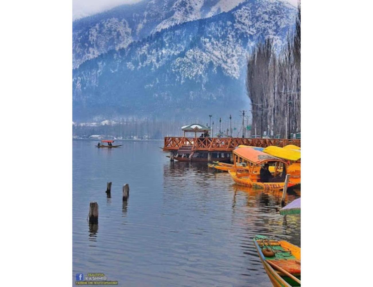 Gousia, Srinagar, Homestay
