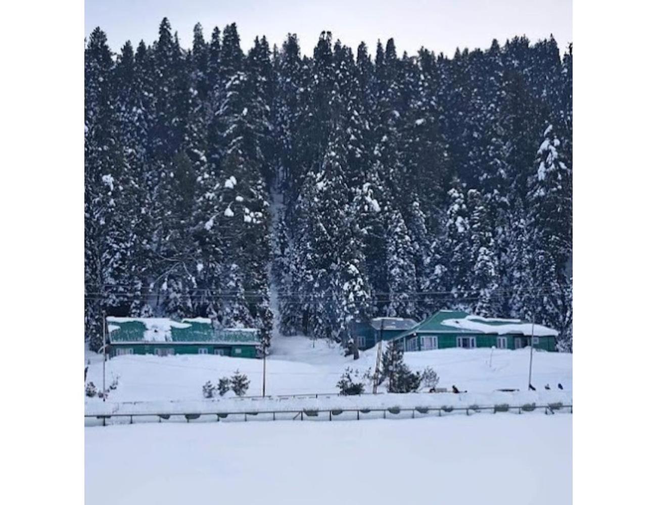 Gousia, Srinagar, * Srinagar (Jammu and Kashmir)