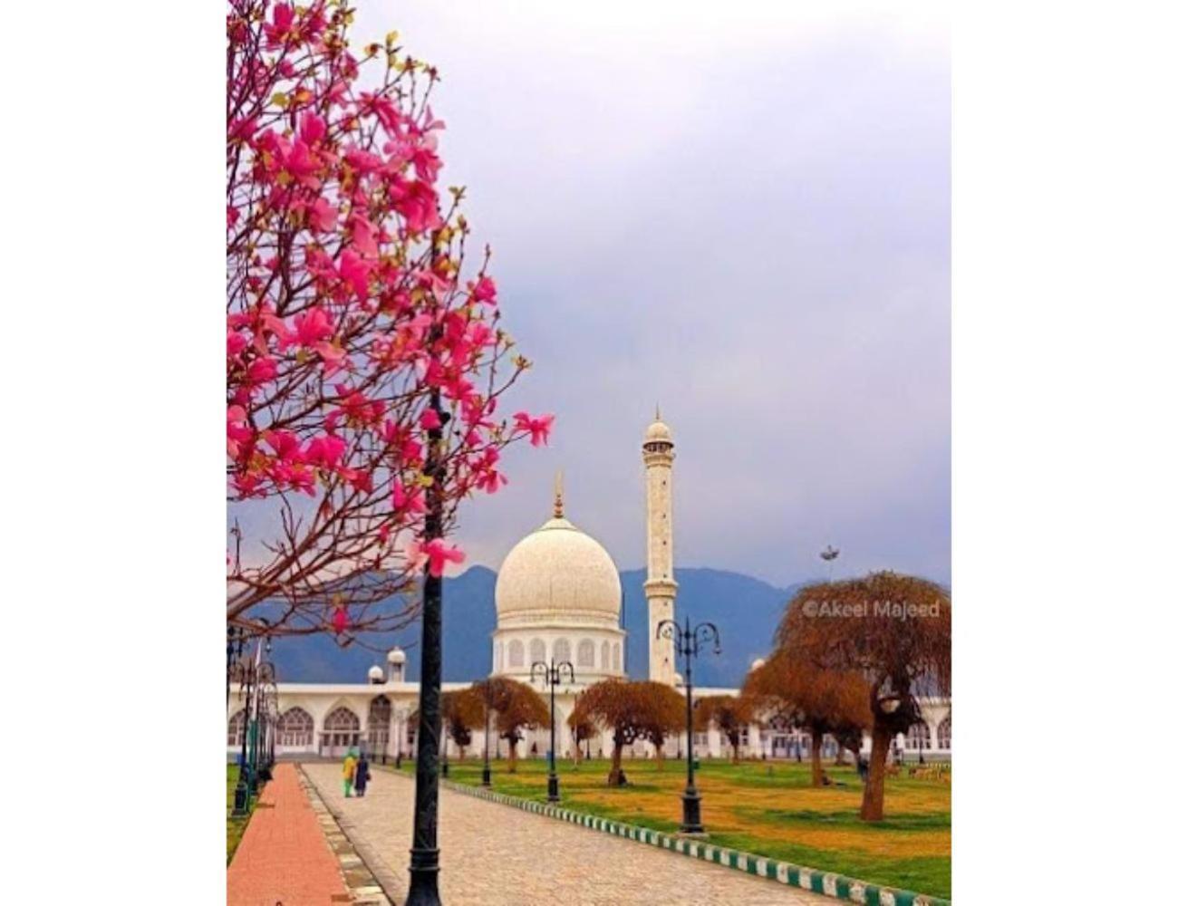 Gousia, Srinagar, * Srinagar (Jammu and Kashmir)
