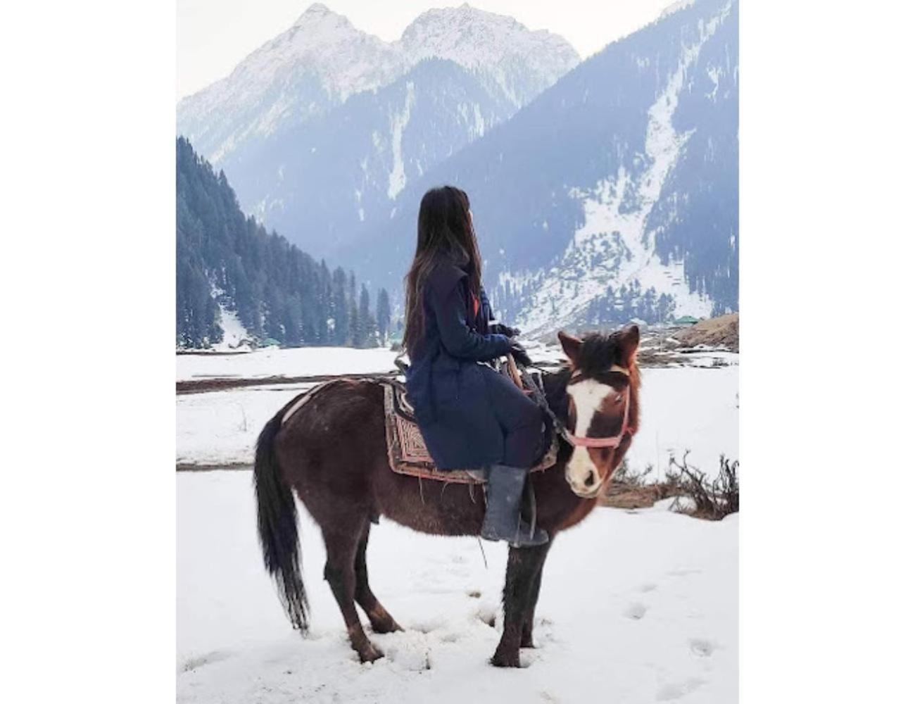 Gousia, Srinagar, Homestay