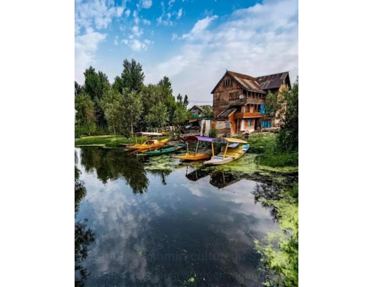 Homestay Gousia, Srinagar, *
