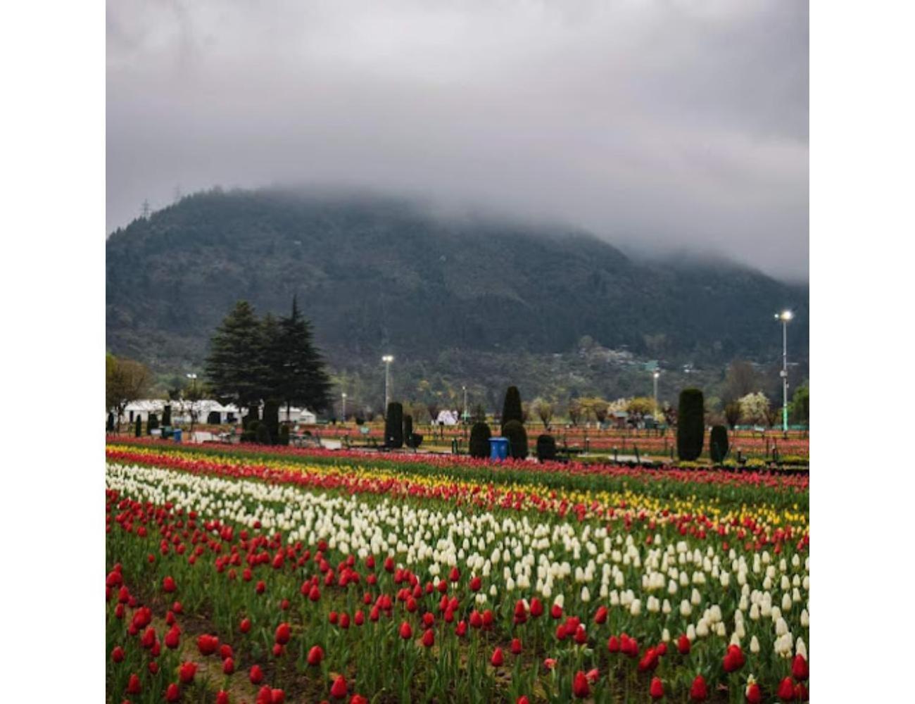 Gousia, Srinagar, Homestay *