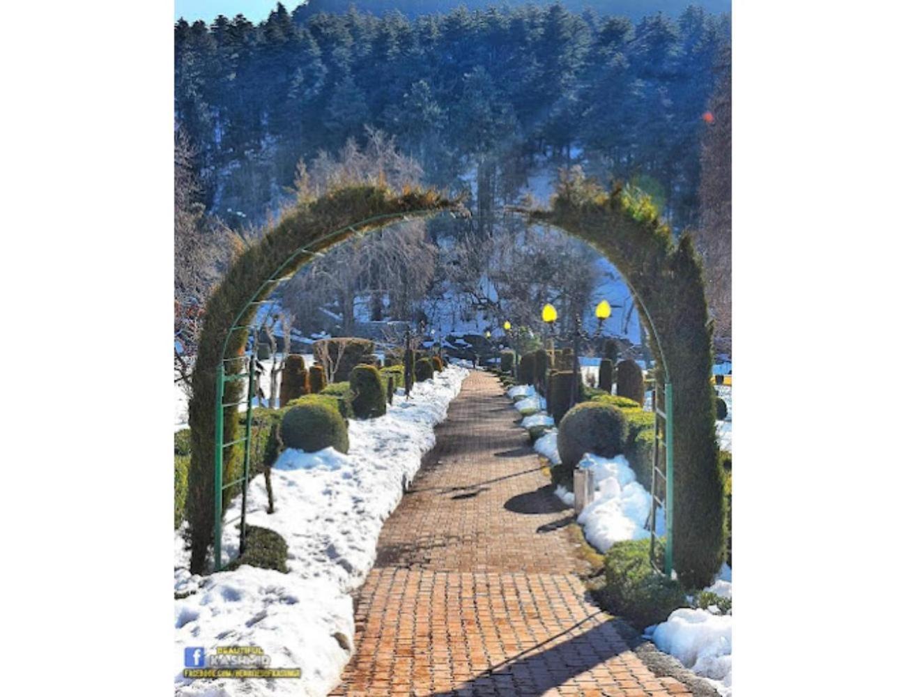 Gousia, Srinagar, * Srinagar (Jammu and Kashmir)