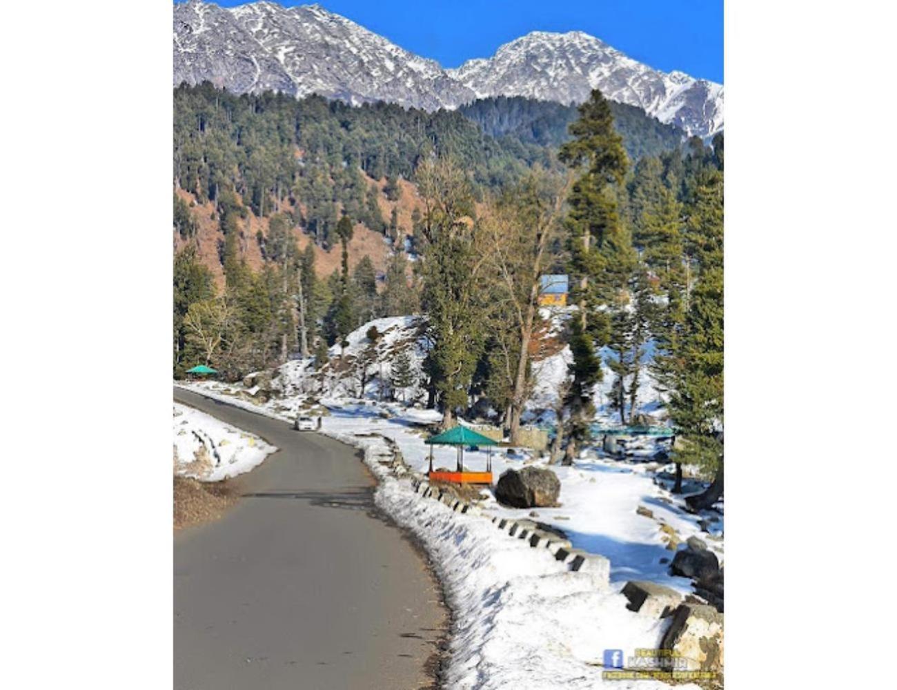 Gousia, Srinagar, *