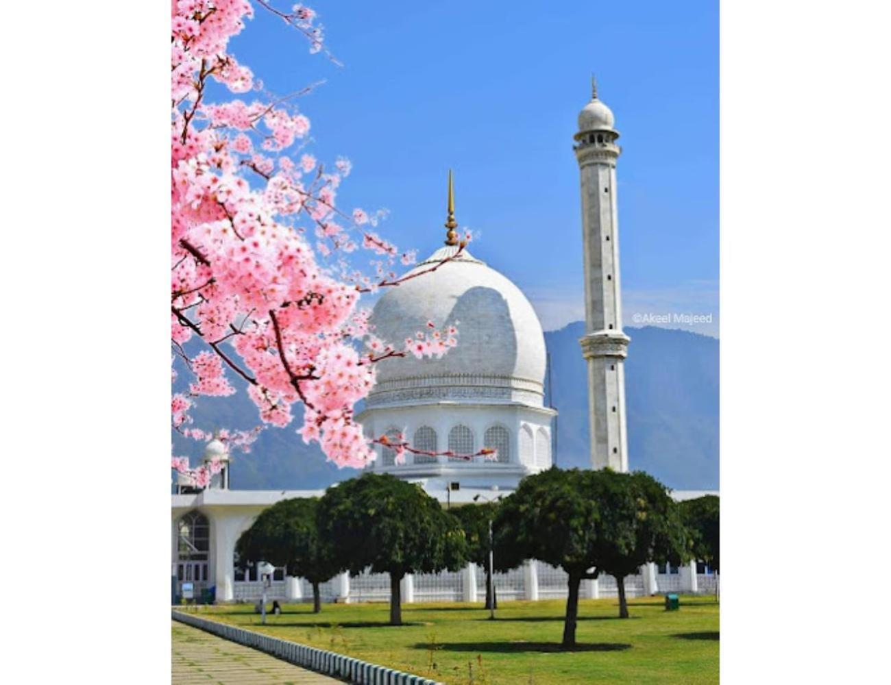 Gousia, Srinagar, * Srinagar (Jammu and Kashmir)