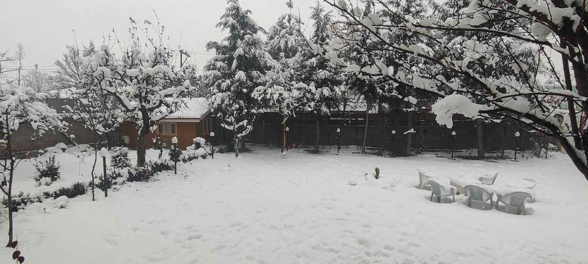 Homestay The Clover Srinagar (Jammu and Kashmir)