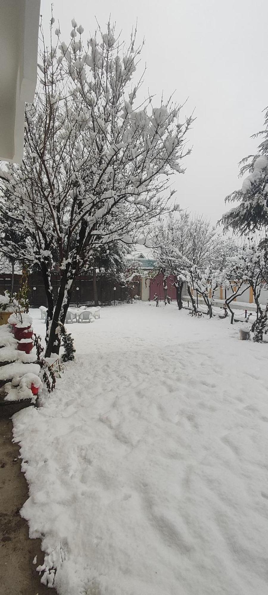 The Clover * Srinagar (Jammu and Kashmir)