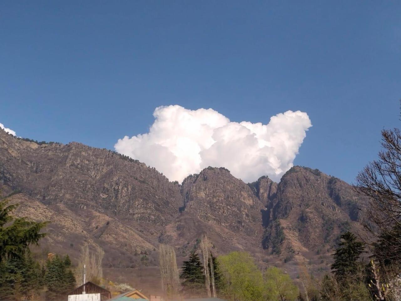 Sahil View Lodge