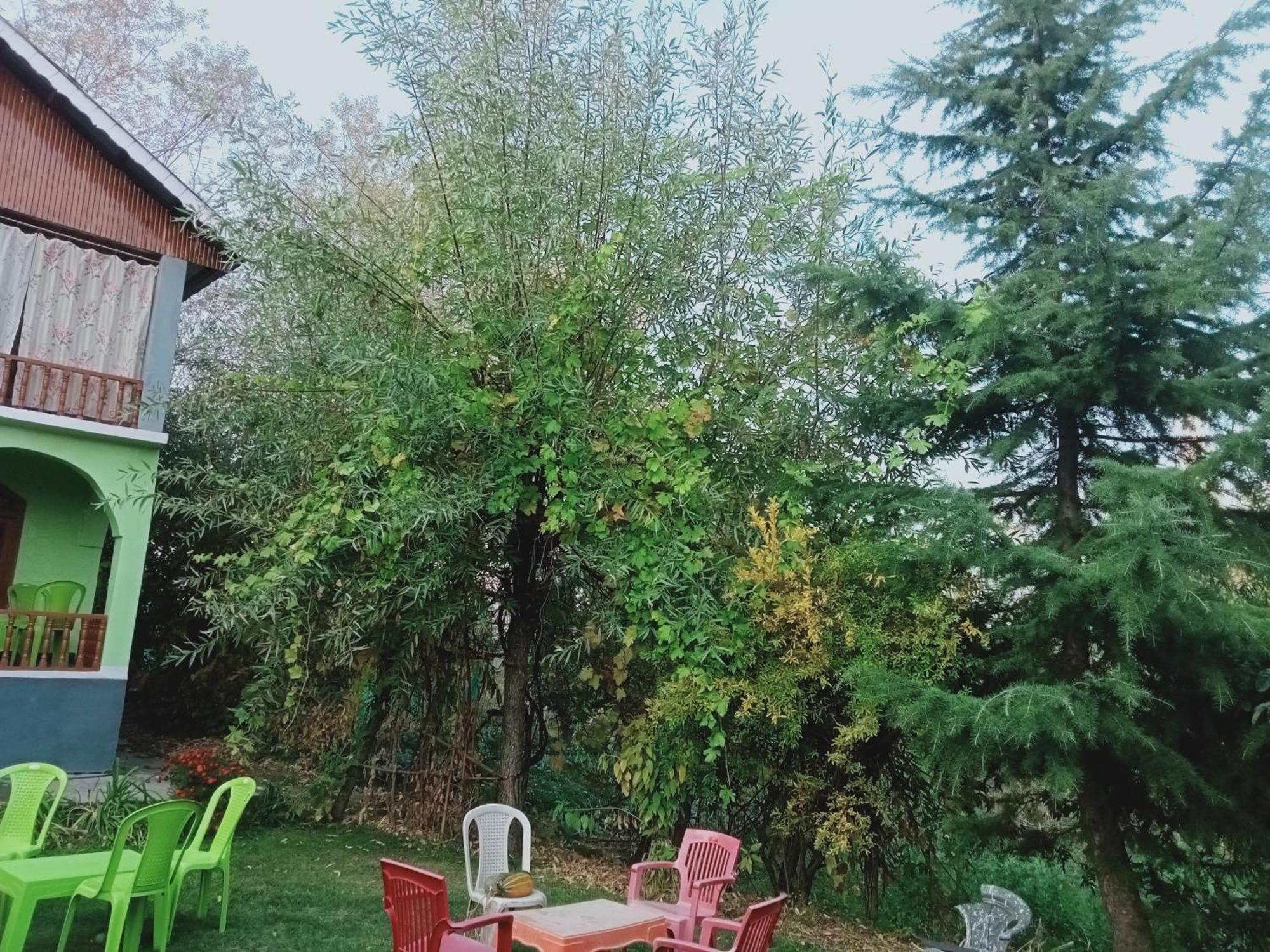 Homestay Greenvilla Homestay Tangmarg *