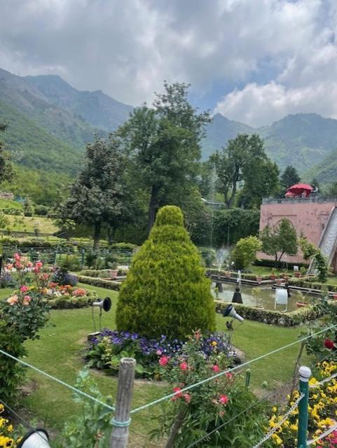 Lodge Sahil View *