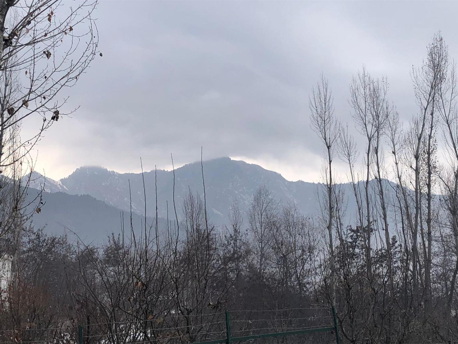 Sahil View Lodge
