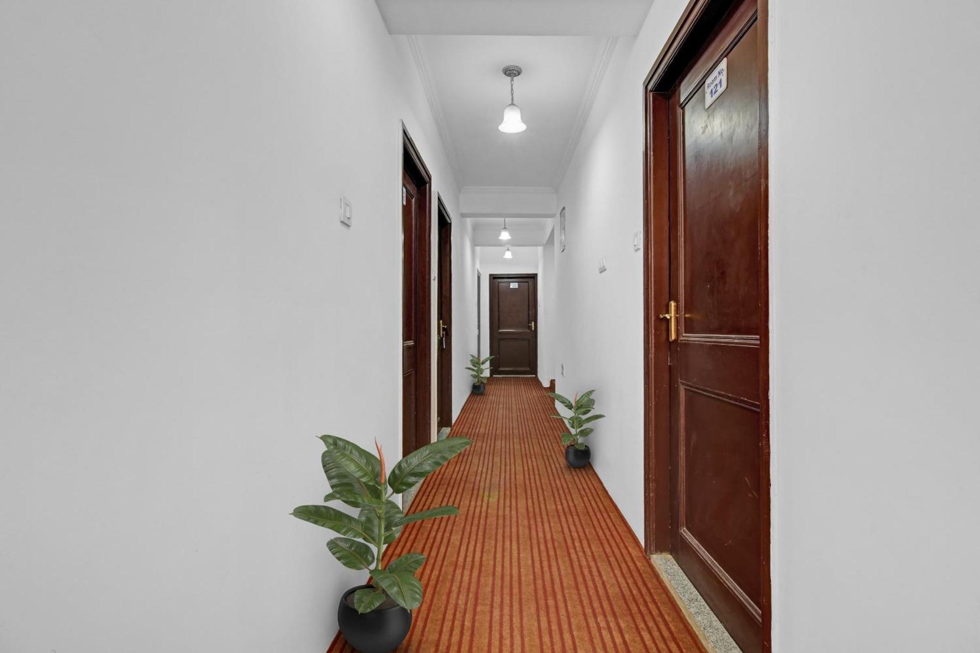 Hotel O Eco