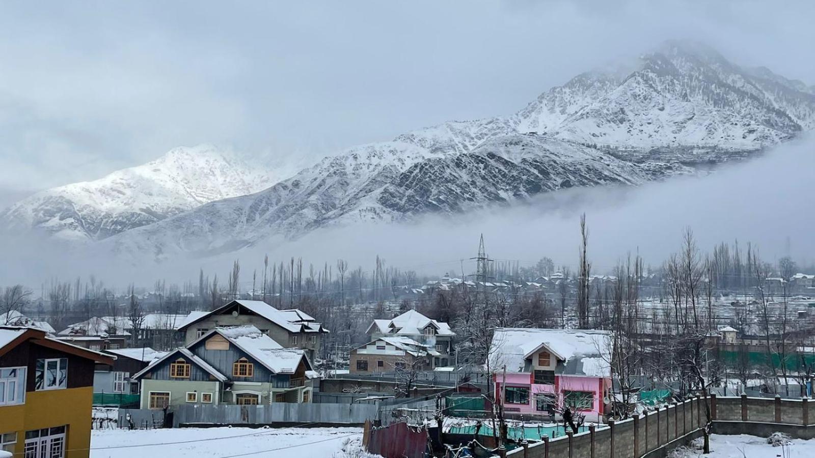Hotel Nadis - A Handcrafted Boutique Srinagar (Jammu and Kashmir)