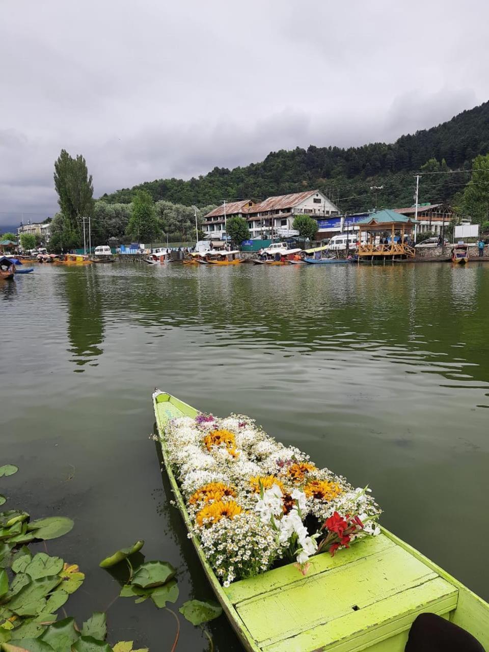 Houseboat Srinagar (Jammu and Kashmir)