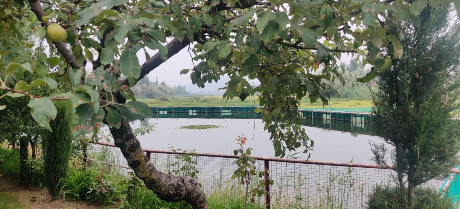 Zoz Hazratbal * Srinagar (Jammu and Kashmir)