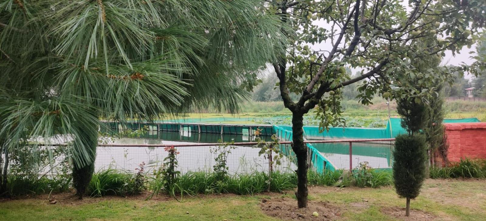 Zoz Hazratbal