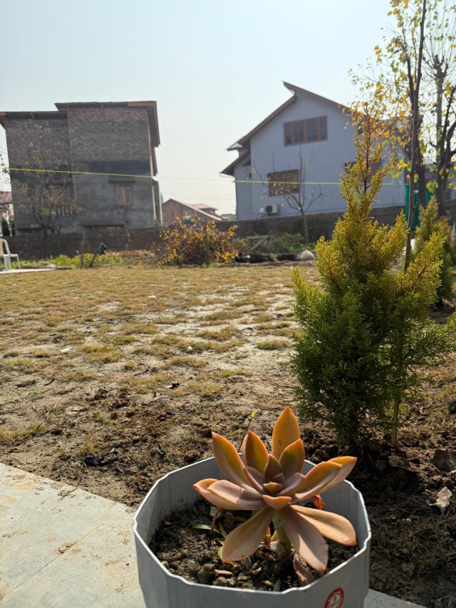 The Aastana Guest house Srinagar (Jammu and Kashmir)