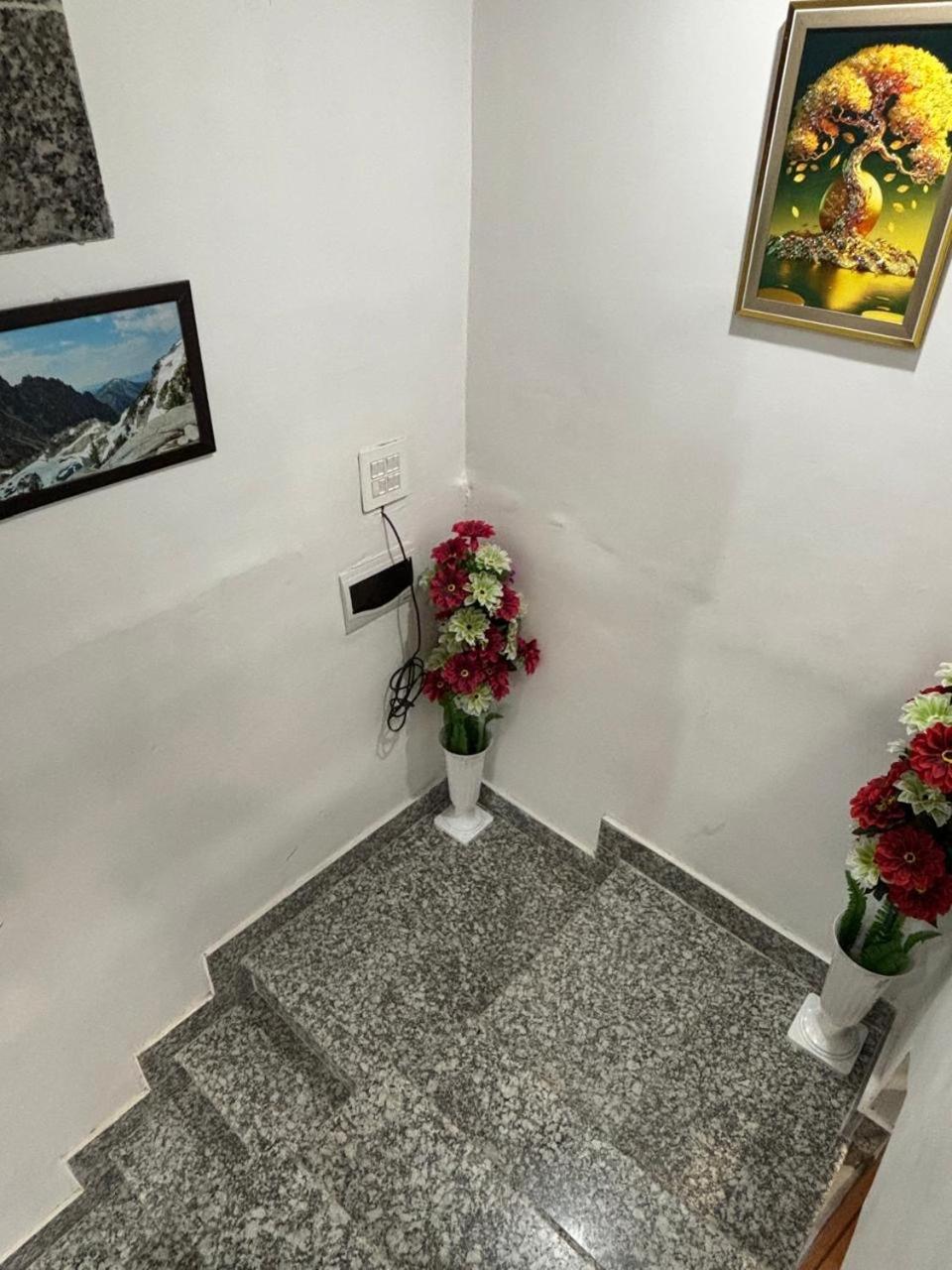 Guest house Tree Of Life Srinagar (Jammu and Kashmir)