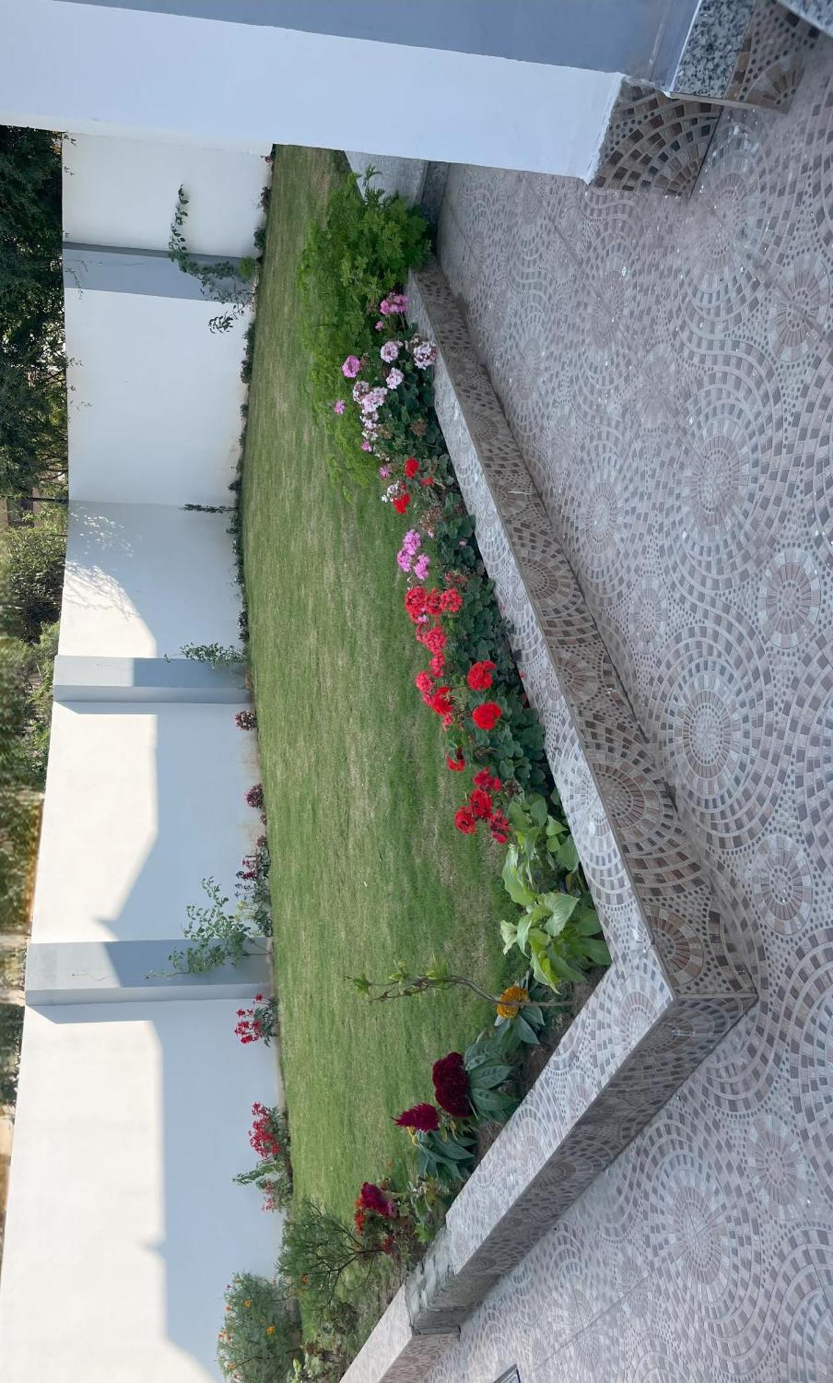 Zinnia East Homestay