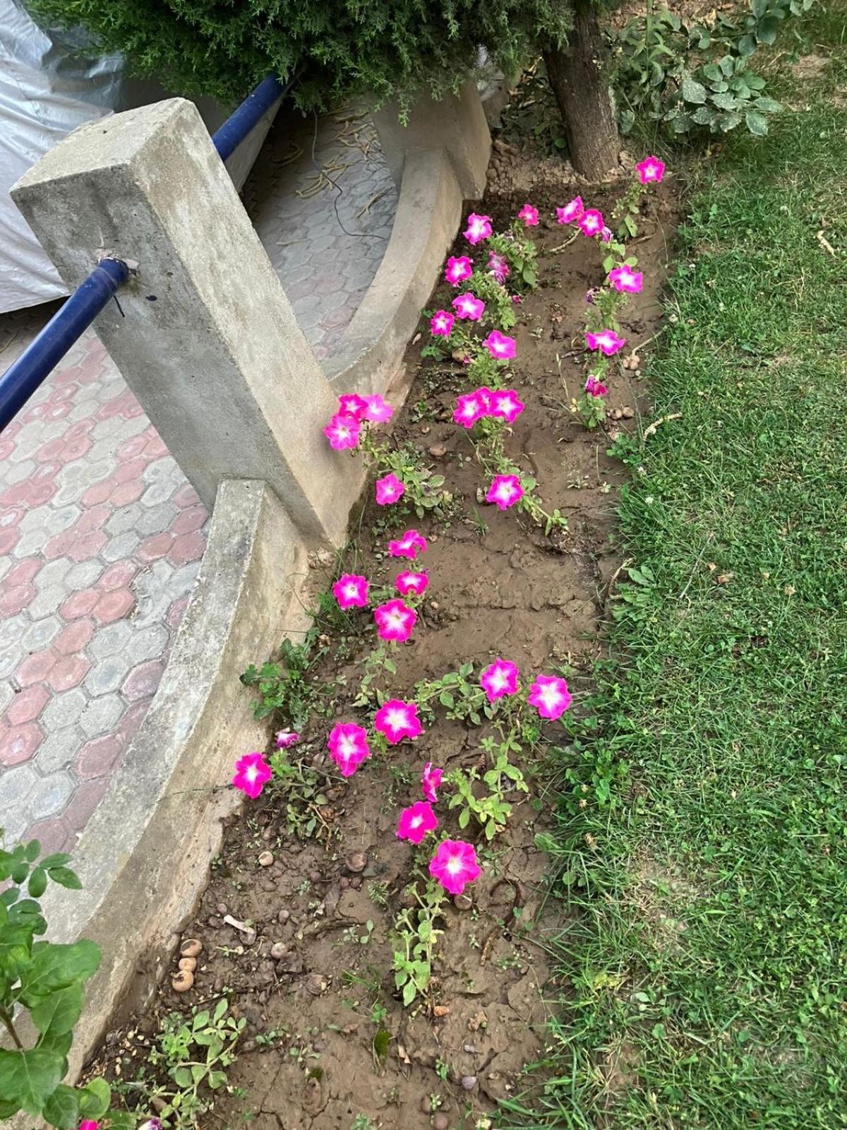 The Citadel Homestay