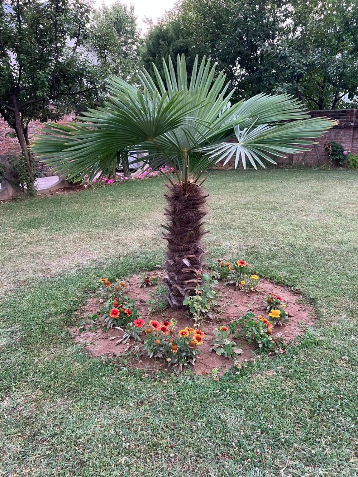 Homestay The Citadel Srinagar (Jammu and Kashmir)