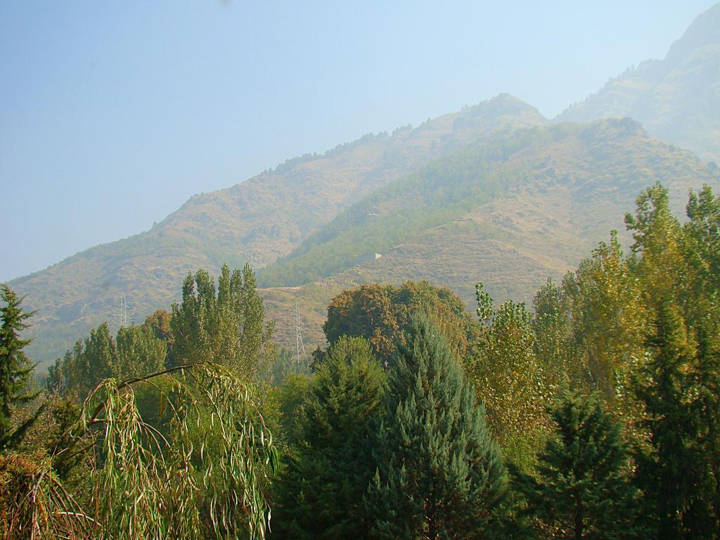 Hillscape Guest house