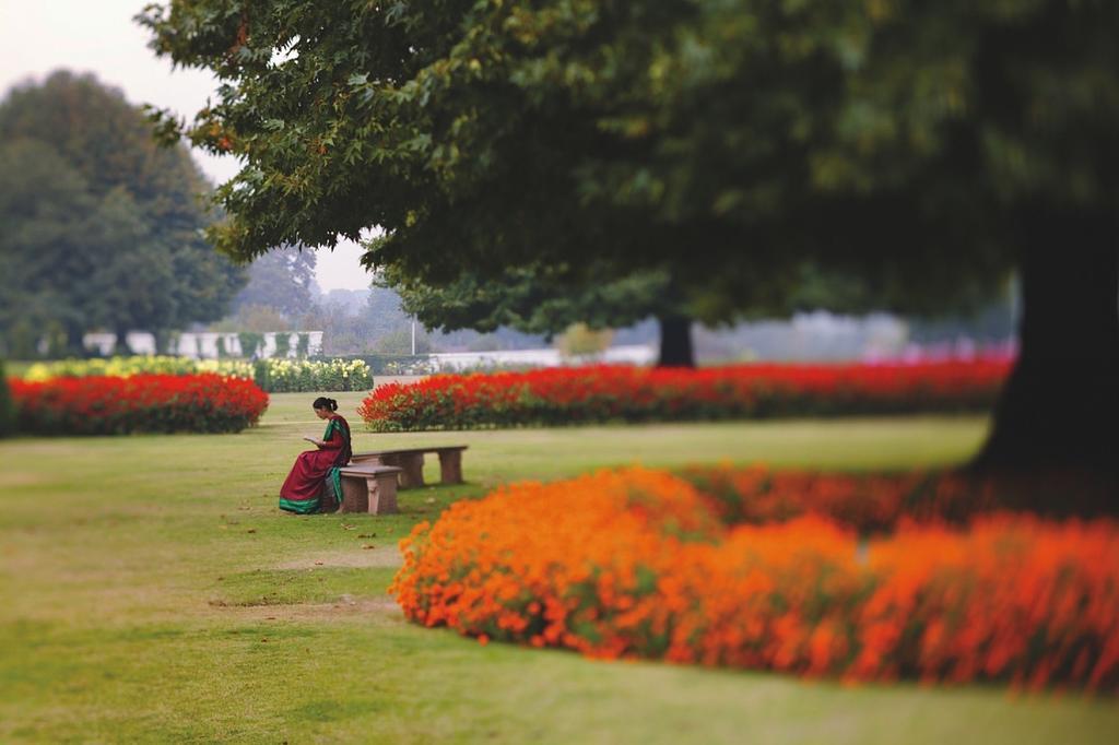The Lalit Grand Palace 5* Srinagar (Jammu and Kashmir)