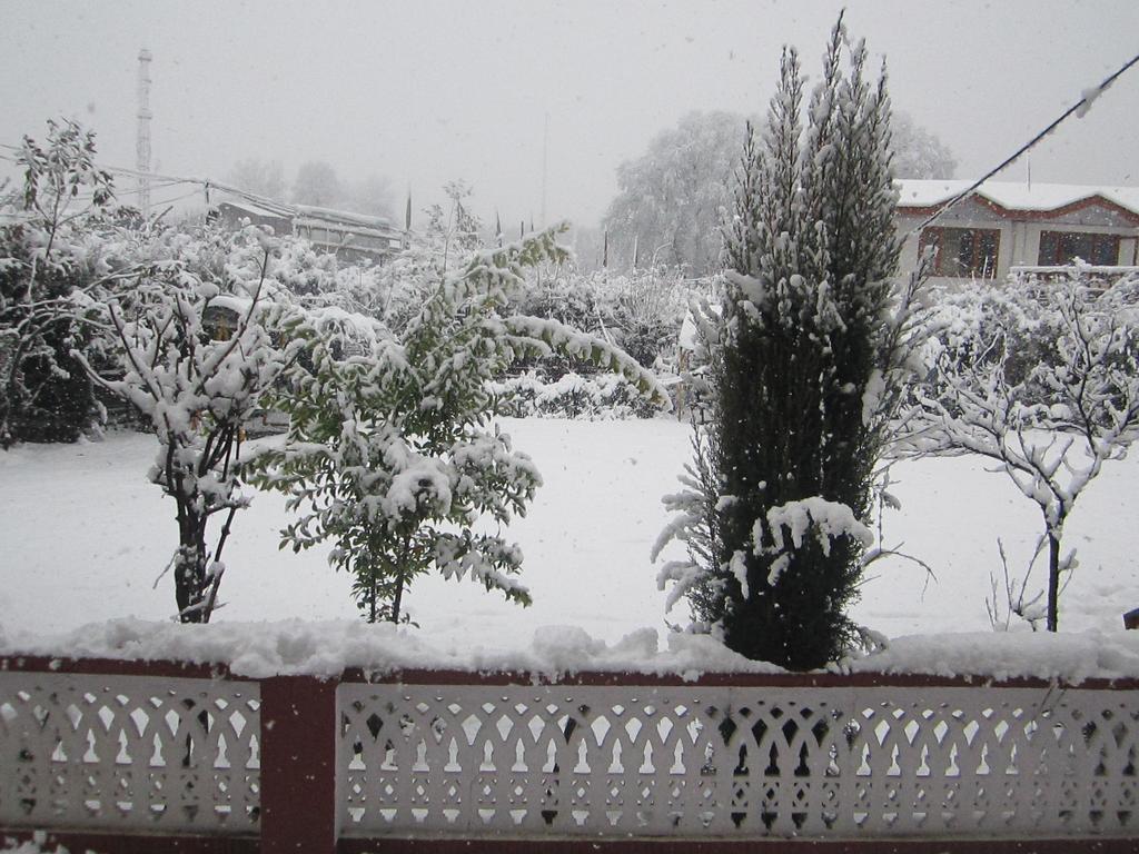 Hotel Hotel Akbar At Dal Lake Ghat Number 1 Srinagar (Jammu and Kashmir)