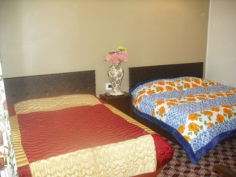 Hotel Dal View 3*