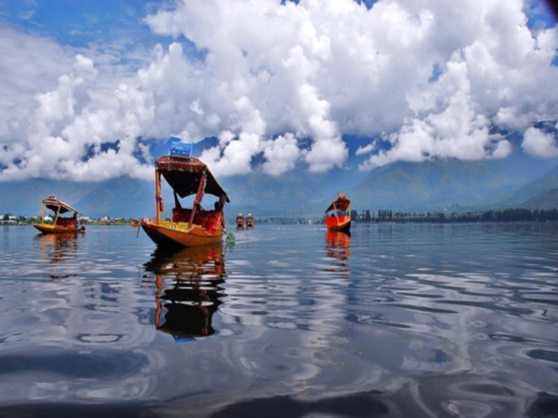 Royal Pearl Srinagar (Jammu and Kashmir)