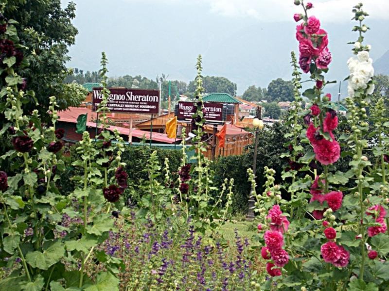 Hotel Wangnoo Sheraton Srinagar (Jammu and Kashmir)