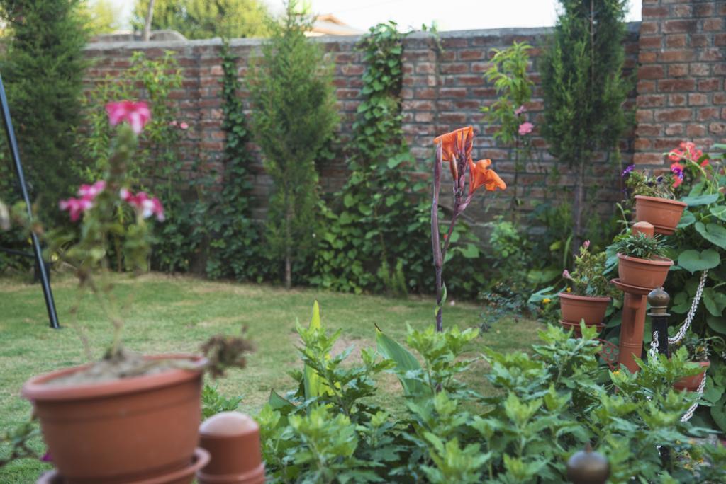 Bed & Breakfast Hospitality Srinagar (Jammu and Kashmir)