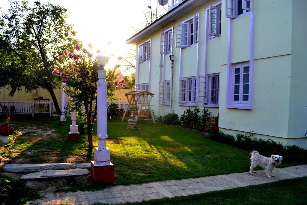 Dove Guest house