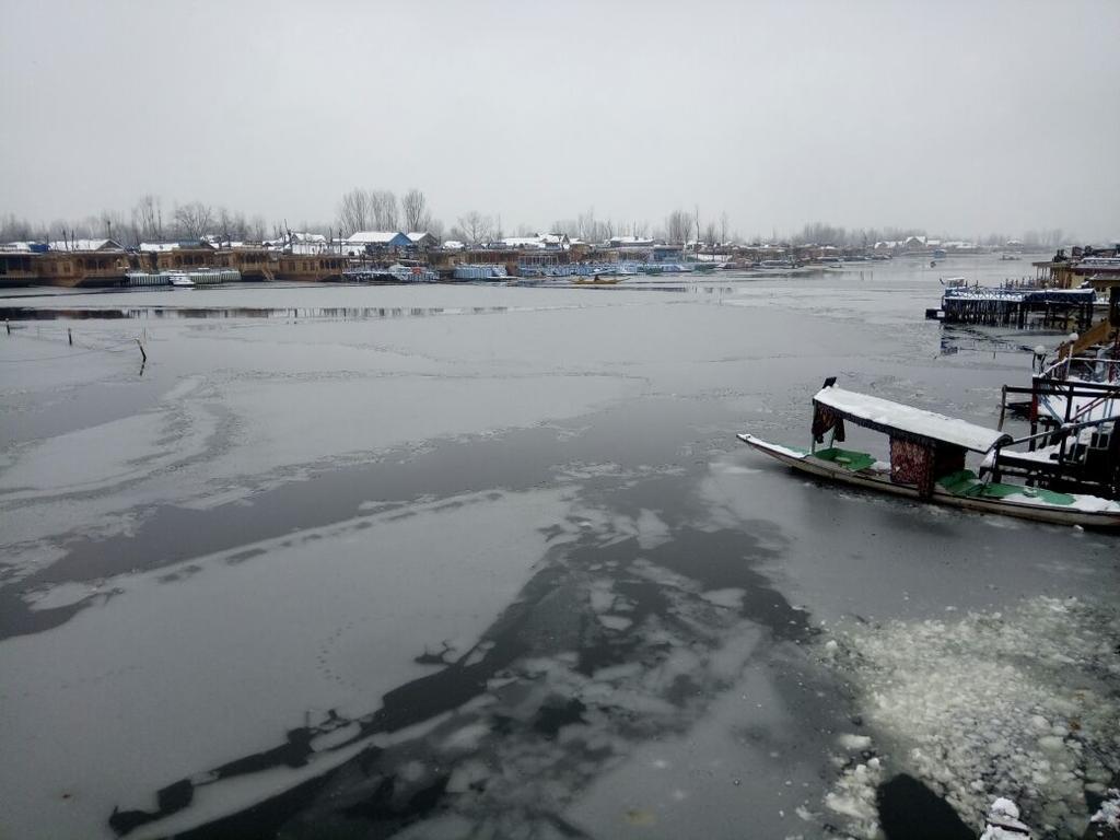Young Shahzada Group Of Houseboats Srinagar (Jammu and Kashmir)