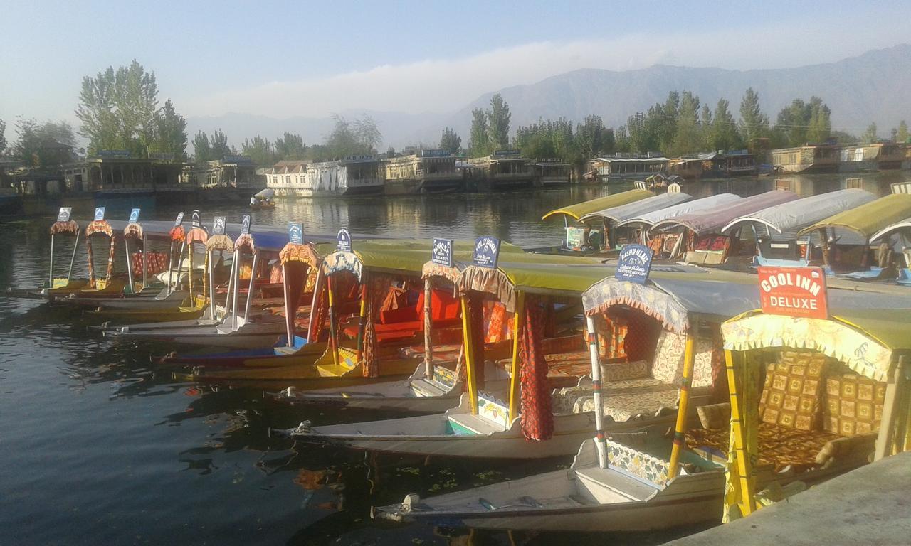 H B New Dog Star Hotel Srinagar (Jammu and Kashmir)