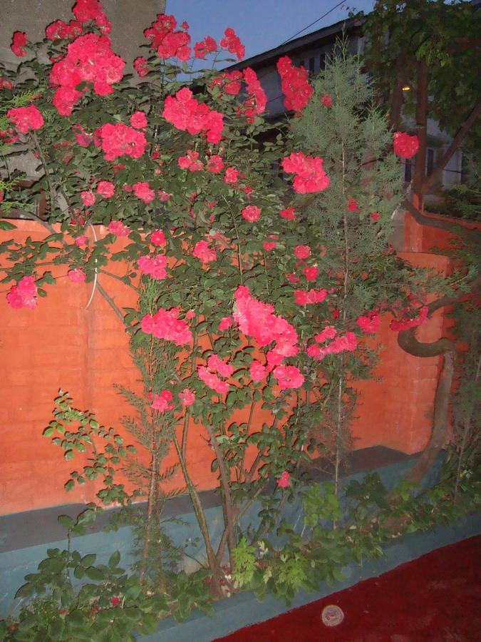 Jh Bazaz Hotel