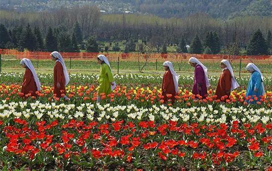 Hotel Grand Alnoor Srinagar (Jammu and Kashmir)