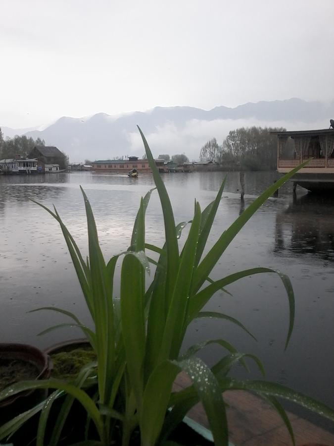 H.B Zamrud Srinagar (Jammu and Kashmir)