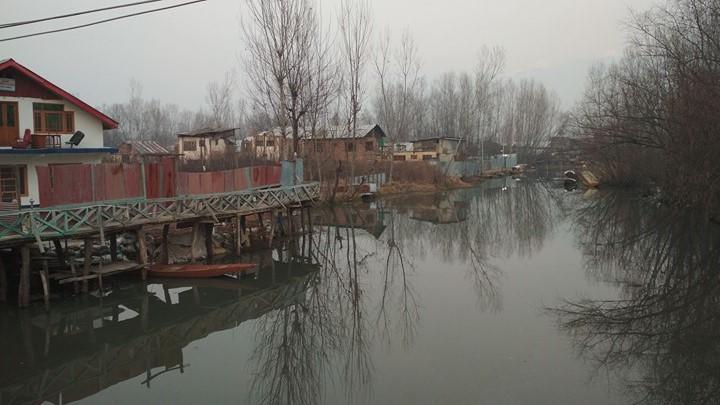 Shamus Javed * Srinagar (Jammu and Kashmir)
