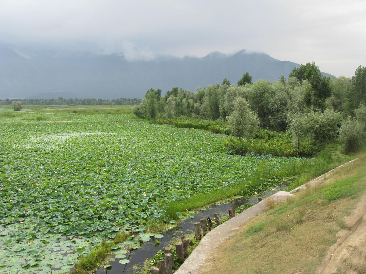 Lakshmi Guest house Srinagar (Jammu and Kashmir)